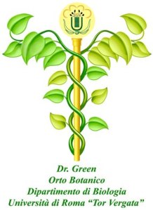 DrGreen2