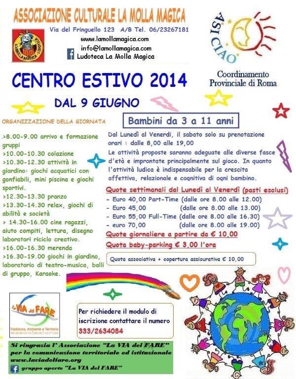 volantino molla magica centro estivo 2014  definitivo