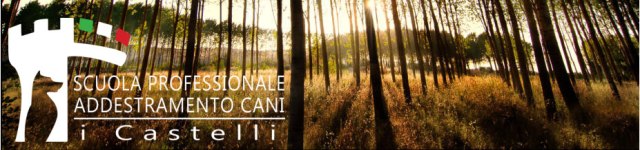 logo-addestramento-cani