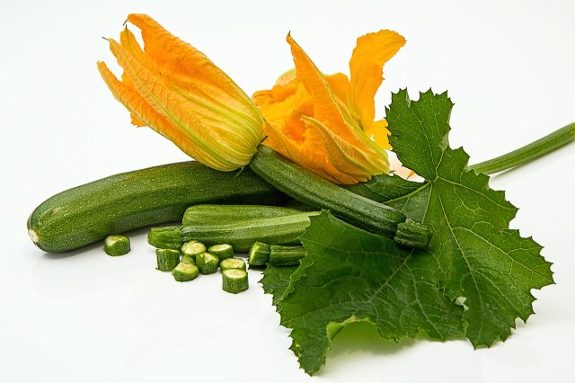 zucchini-572542_1280
