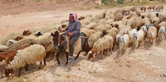 locandina19-03-2016_R-pulita