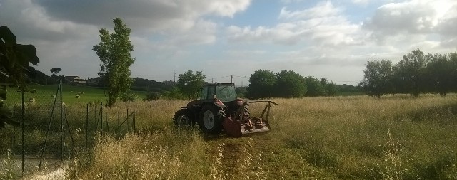 WP_20160615_08_03_53_Proweb